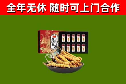 望花区烟酒回收冬虫夏草礼盒.jpg