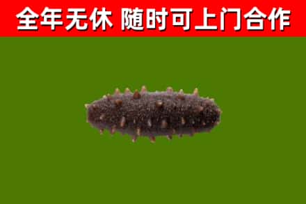 望花区烟酒回收干海参.jpg