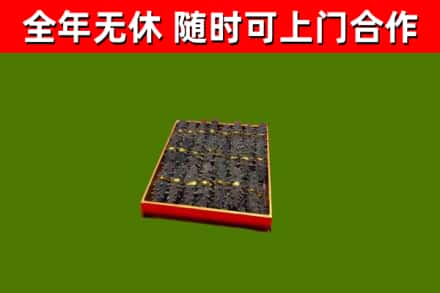 望花区回收海参